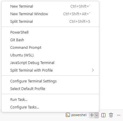Open the terminal panel via `+` > `Git Bash`